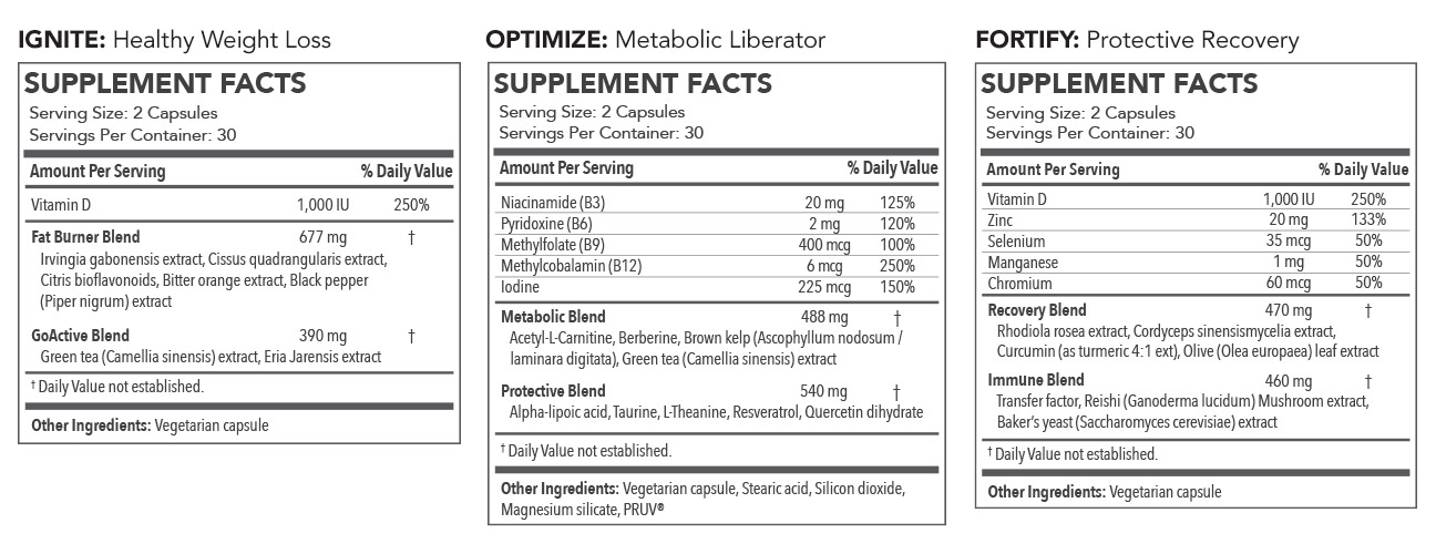 Transformation Program REFILL - IGNITE, OPTIMIZE, FORTIFY